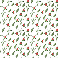 Beautiful watercolor floral and herbs seamless pattern with colorful flowers and leaves on white background. Botanical hand drawn illustration. Vintage wallpaper spring and summer season.