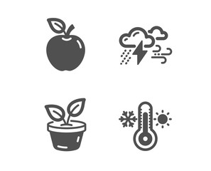 Set of Bad weather, Apple and Leaves icons. Thermometer sign. Clouds, Fruit, Grow plant. Thermostat.  Classic design bad weather icon. Flat design. Vector