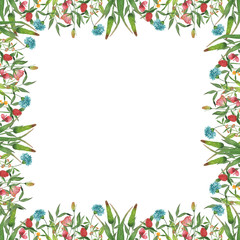 Fototapeta na wymiar Bright watercolor floral and herbal frame with different elements for invitations, greeting cards and other decorations. Summer flower frame.