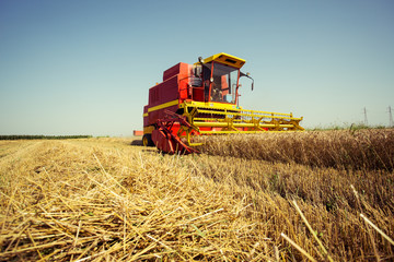 Combine harvester working on a wheat field