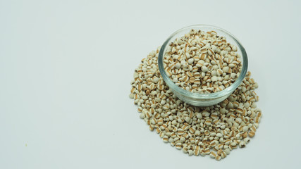 Job's Tears, also known as adlay and coix on white background. Popular in Asian cultures as a food source.