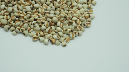 Job's Tears, also known as adlay and coix on white background. Popular in Asian cultures as a food source.