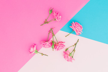 Floral composition with pink roses flowers on colorful background. Flat lay. Top view