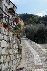 Strada tra mura facciate e vasi con fiori