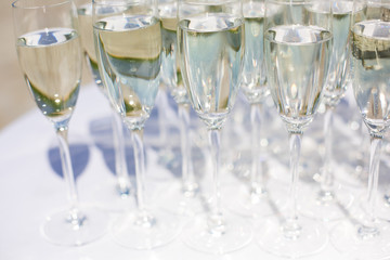 lot of glasses with champagne during on the party table. a row of glasses filled with champagne are lined up ready to be served