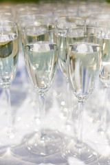 lot of glasses with champagne during on the party table. a row of glasses filled with champagne are lined up ready to be served