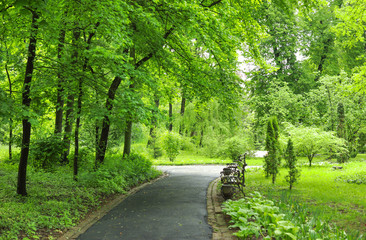 View of beautiful park on spring day