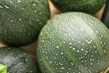 Fresh zucchini squashes, closeup view