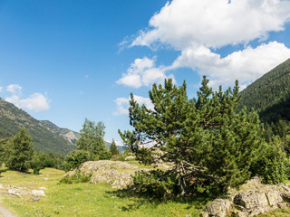 Fototapeta premium Panoramic of the Aiguestortes and Sant Maurici National Park, road of the Pond of Sant Maurici, in the province of Lleida, Catalonia, Spain