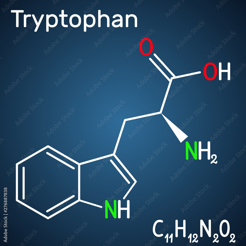 Poster tryptophan, trp or w amino acid molecule, is used in the biosynthesis of proteins. structural chemic