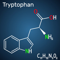 Tryptophan, Trp or W amino acid molecule, is used in the biosynthesis of proteins. Structural chemical formula on the dark blue background. Vector illustration