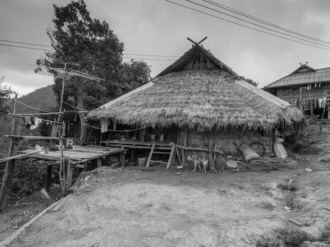 a bamboo hut on top hill around with forest, view rural in Doi Mae Salong, Chiang Rai, northern Thailand (monochrome image).