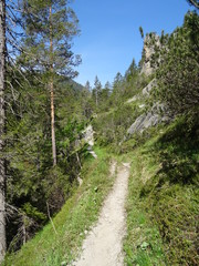schmaler wanderpfad im lechtal