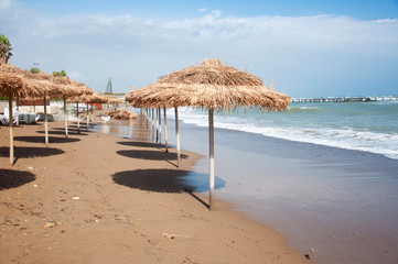Appetizing red strawberries with green tails on a white plate ready to eat