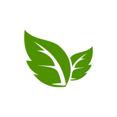 Ecology Green Leaf symbol icon vector illustration