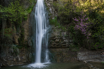 Fototapeta na wymiar botanical garden waterfall and stream in tbilisi