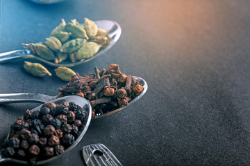Colourful various herbs and spices for cooking on dark background