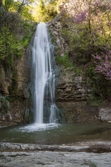 Fototapeta na wymiar botanical garden waterfall and pond in tbilisi