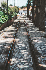 Obraz premium A narrow tramway track for a traditional tram surrounded by trees and a stone fence, with a paving stone on the ground, shallow depth of field, selective focus on the middle distance, Sintra, Portugal