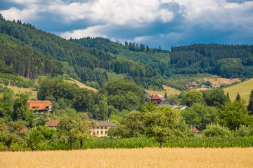 Landschaft in Gengenbach in Baden-Württemberg, Deutschland