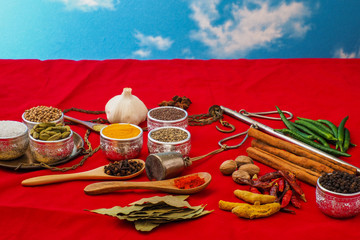 スパイスの集合写真　Group photo of representative spices 