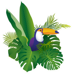 Tropical exotic bird toucan on monstera and palm leaves background