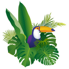 Tropical exotic bird toucan on monstera and palm leaves background © pic0bird