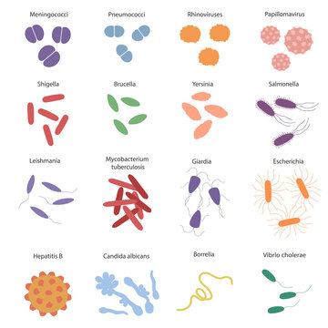 Big colorfull set with different dangerous viruses and germs with its names. Illustration for education on microbiology