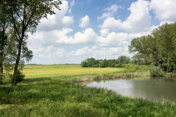 View on a typical landscape in the Netherlands. A perfect dutch sky with beautiful clouds, trees, a pond and green grass. Ideal area for walking, hiking, relaxing and cycling. Near the Pilgrim's trail