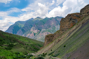 Beautiful summer landscape of green pasture in mountains. Distant view