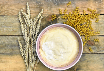 Durum wheat dough in a pink bowl with italiaan maacaroni and bunch of wheat spikes nearby on rustic rough wooden table, overhead top view, flat lay, closeup, copy space