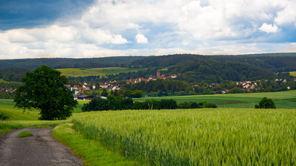 Fototapeta na wymiar Naumburg in Hessen