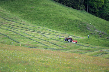 tractor and a man on a field in Emmental