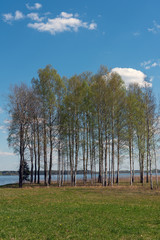 Trees and reflections in water.