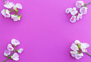 pink background with copy space and a floral decoration