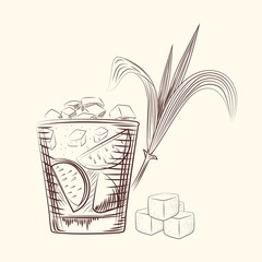 Hand draw cane leaves. Alcohol cocktail in glass, sugar plant stalk and cubes.