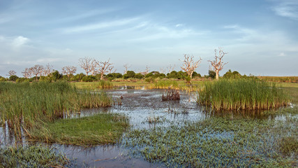National park Sri Lanka