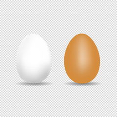 Realistic Chicken Egg - White And Brown Vector Template With Shadow - Isolated On Transparent Background