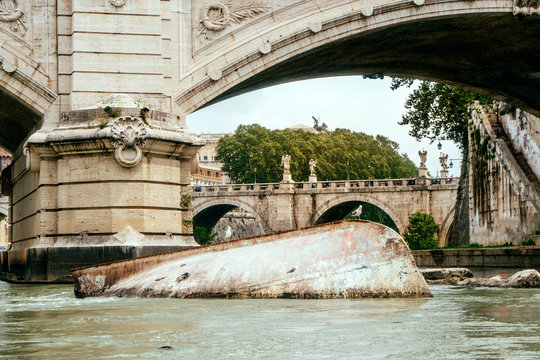 Seagull and boat on the Tiber River, Rome, Italy