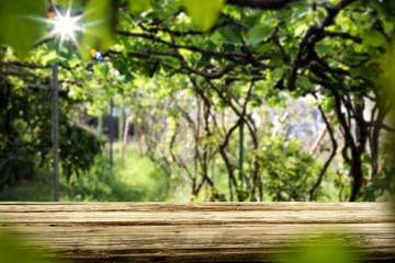 Desk of free space and summer garden background 