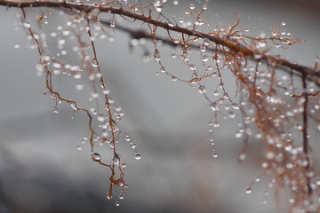 начало зимы