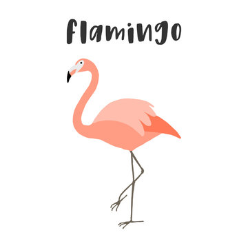 Cartoon pink flamingo vector illustration isolated on a white background.