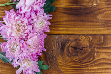 Beautiful chrysanthemums on wooden background. Top view, copy space