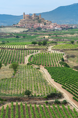 Vineyards in summer with San Vicente de la Sonsierra village as background, La Rioja, Spain