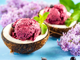 black currant ice cream in a bowl of coconut