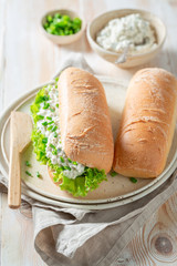 Tasty sandwich with fromage cheese, crunchy bread and lettuce