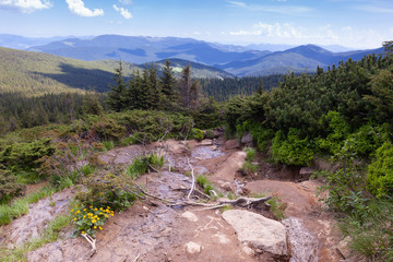 Beautiful atmospheric view of the Carpathian mountains and beginning of stream on the mountain Hoverla. It is the highest mountain of the Ukrainian Carpathian Mountains