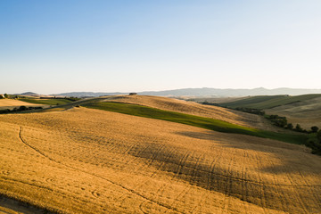 Fototapeta na wymiar Valle di Orciano Pisano con balle di fieno e campi di grano immensi.