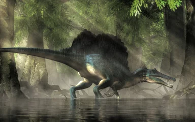 Poster A spinosaurus in a swamp. Spinosaurus was semi-aquatic dinosaur from the Cretaceous period. It was one of the largest carnivorous dinos.  3D Rendering © Daniel Eskridge
