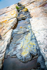 Black intrusive igneous basalt dike rock at Schoodic Point in Acadia National Park